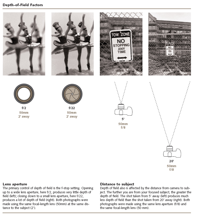 GCSE photography blog Depth of Field